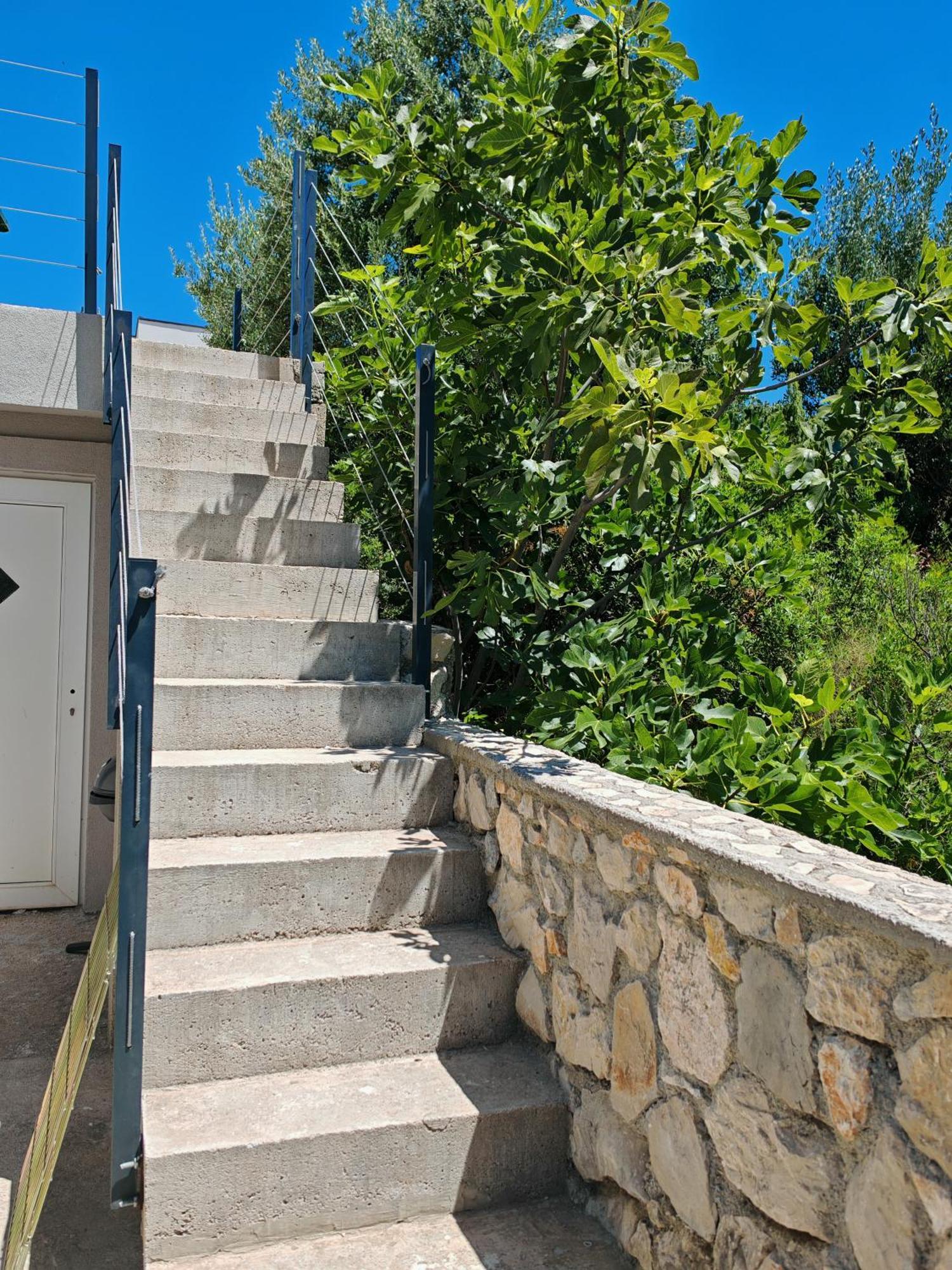 רוגוזניצה Olive Tree Apartment Zecevo מראה חיצוני תמונה